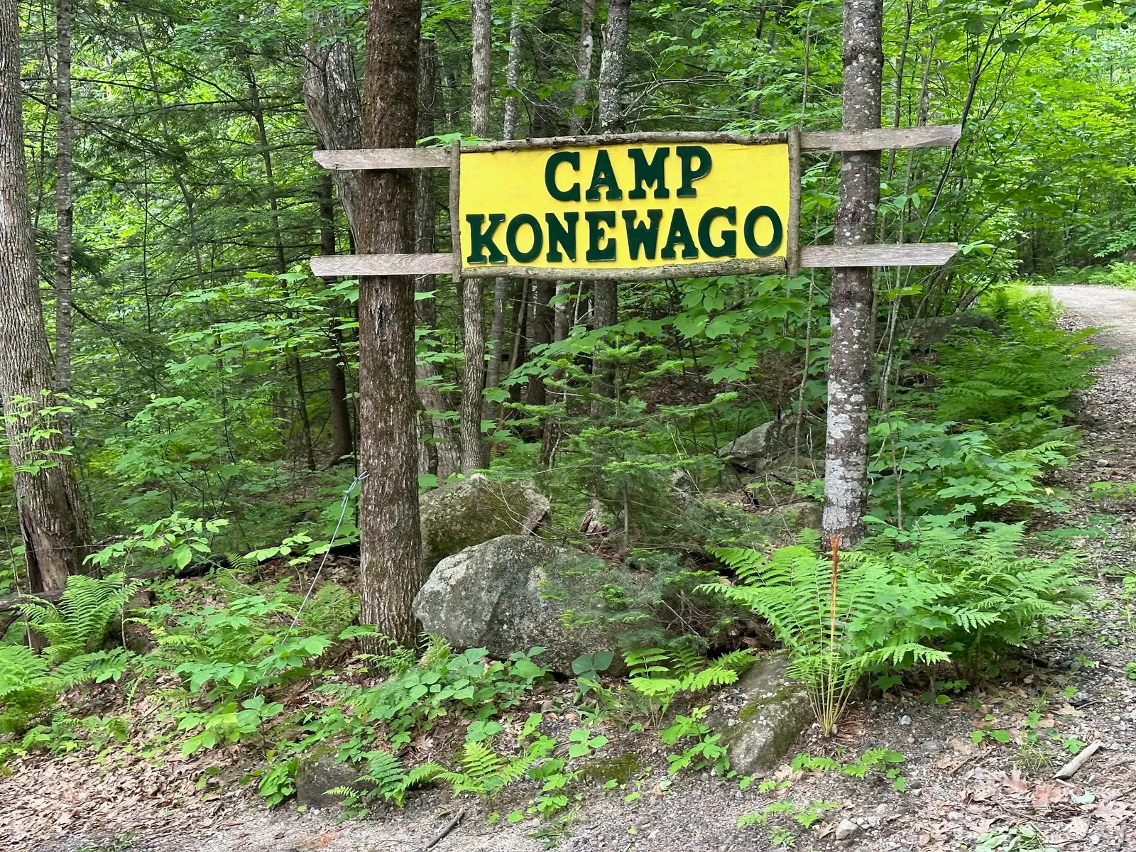 Handmade yellow Camp Konewago sign among green ferns